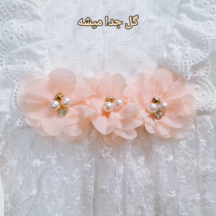 بادی مجلسی دانتل