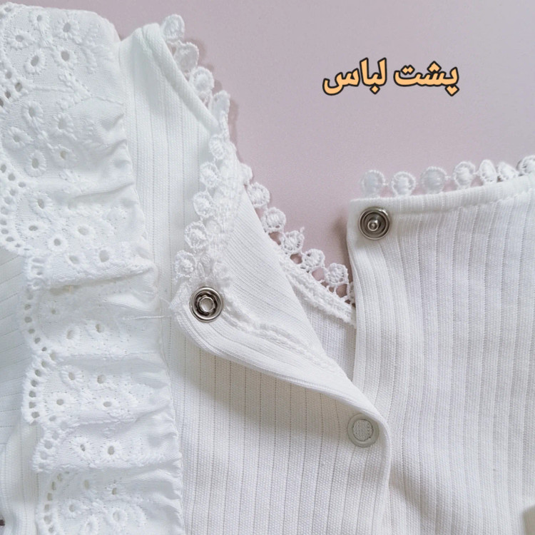 بادی مجلسی دانتل