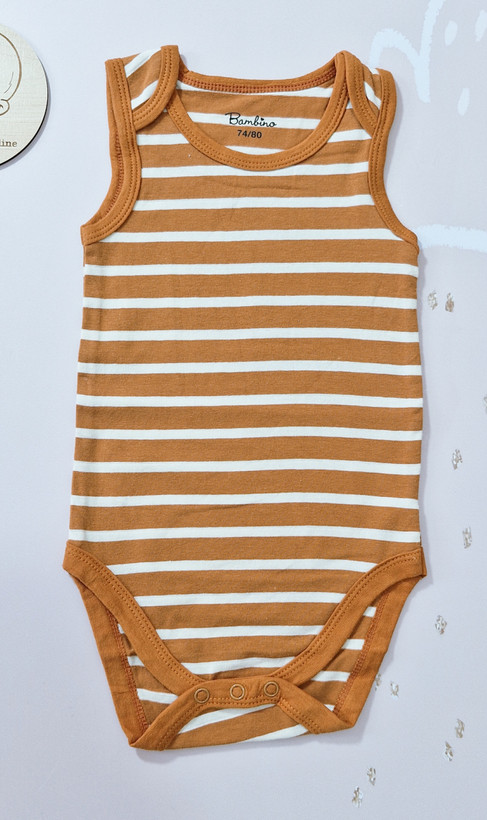 بادی رکابی