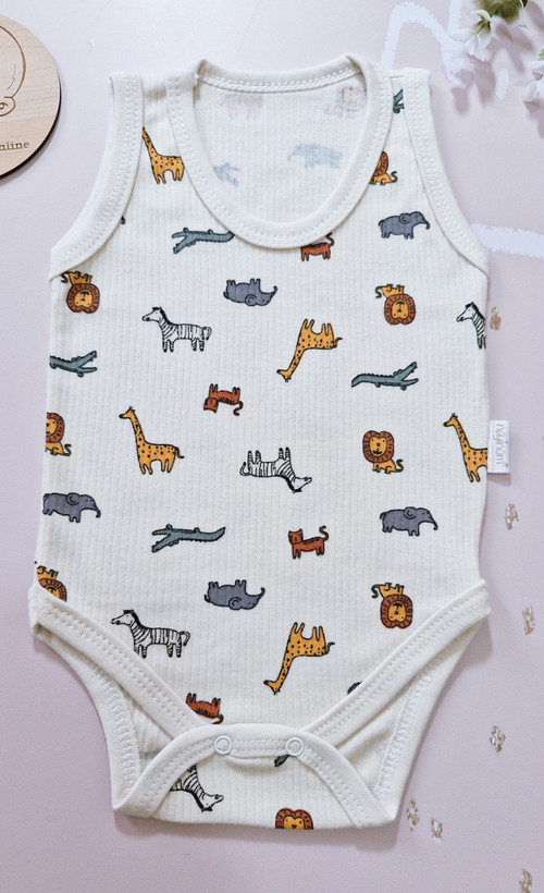 بادی رکابی